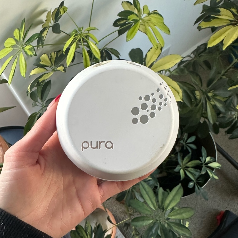 Pura